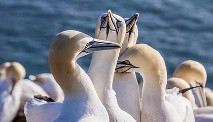 爱游戏资讯-那些我们熟悉的欧冠“绝杀场面”图片集，欧冠决赛爆冷