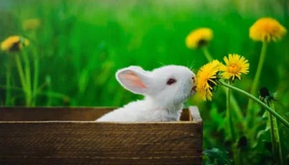 爱游戏资讯-那些我们熟悉的欧冠“绝杀场面”图片集，欧冠决赛爆冷