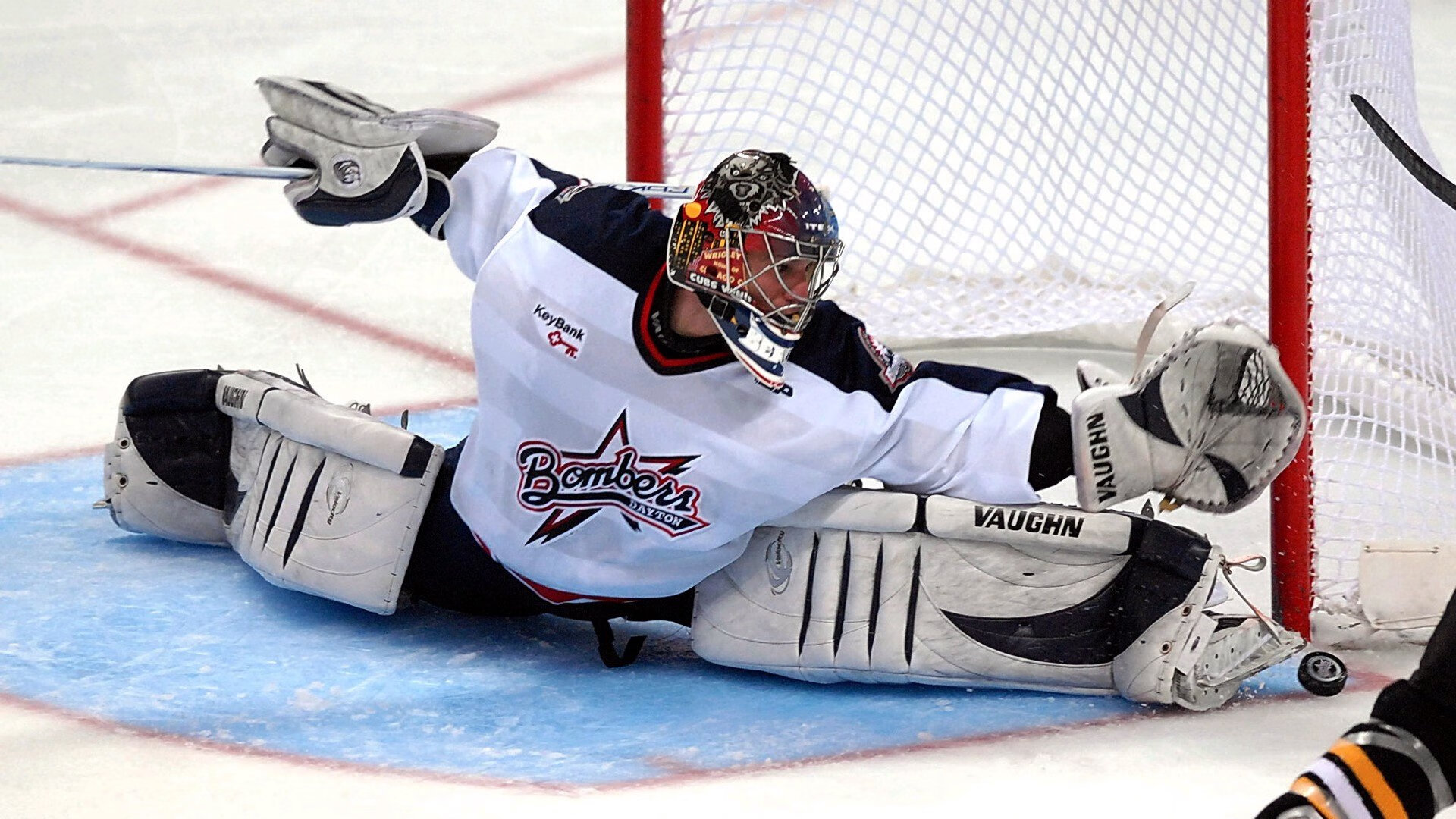 _鹈鹕实力提升，逐步逼近前列位置_，鹈鹕科普